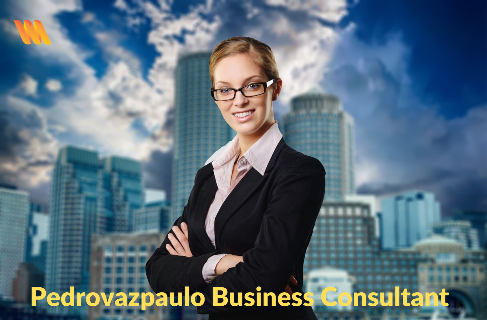 Pedrovazpaulo Business Consultant